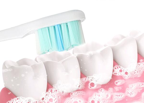 旋轉(zhuǎn)牙刷替換頭種類(lèi)